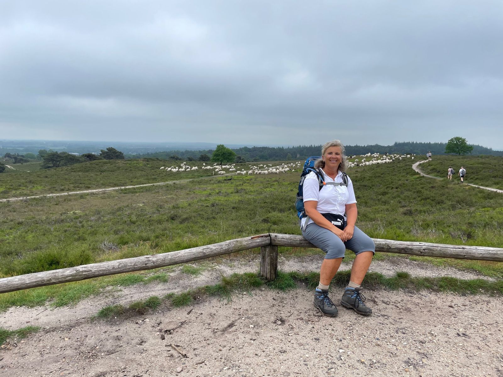 Anne-Marie op de heide met een kudde schapen