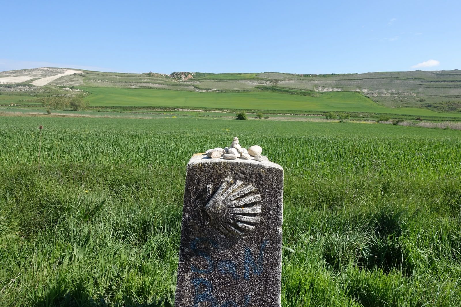 Camino-paal met schelp